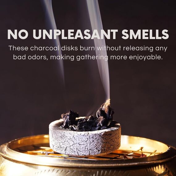 ALPRINCE Schnellanzündende Holzkohlebriketts – Instant Hookah Kohlen – Easy Smoke Kohletabletten für Wasserpfeifen – 33 mm Naturkohle – 1 Stück (100 Stück)