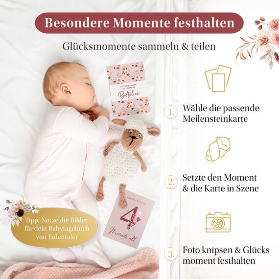 EULENTALER® Meilensteinkarten Baby I Von Pädagogen gestaltet I Meilensteinkarte Set als Geschenk zur Geburt I 48 Karten Inkl. Geschenkbox für Mädchen I Mein erstes Jahr mit allen Meilensteinen