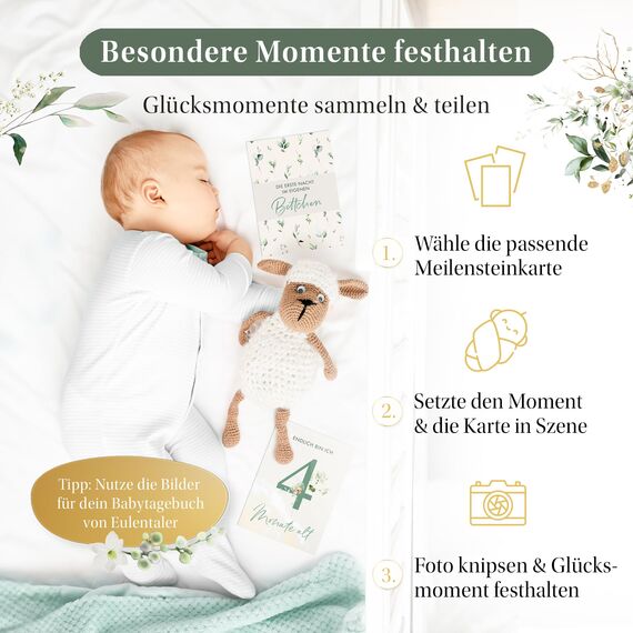 EULENTALER® Monatskarten Baby 1-12 Monate I Von Pädagogen gestaltet I Meilensteinkarten "Mein erstes Jahr" Set als Geschenk zur Geburt & Babyparty I 48 Karten Inkl. Geschenkbox für Jungen & Mädchen
