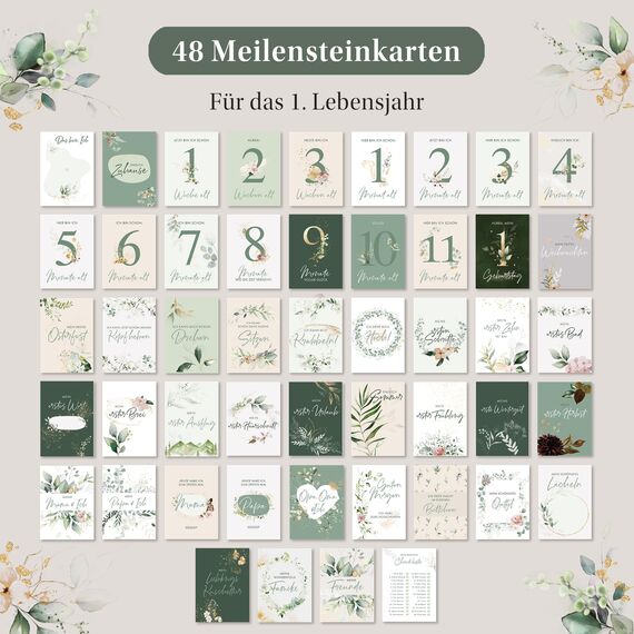 EULENTALER® Monatskarten Baby 1-12 Monate I Von Pädagogen gestaltet I Meilensteinkarten "Mein erstes Jahr" Set als Geschenk zur Geburt & Babyparty I 48 Karten Inkl. Geschenkbox für Jungen & Mädchen