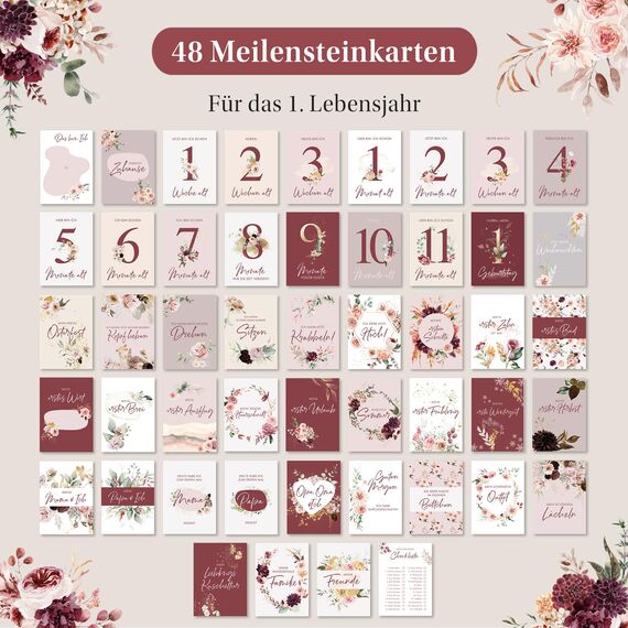 EULENTALER® Meilensteinkarten Baby I Von Pädagogen gestaltet I Meilensteinkarte Set als Geschenk zur Geburt I 48 Karten Inkl. Geschenkbox für Mädchen I Mein erstes Jahr mit allen Meilensteinen