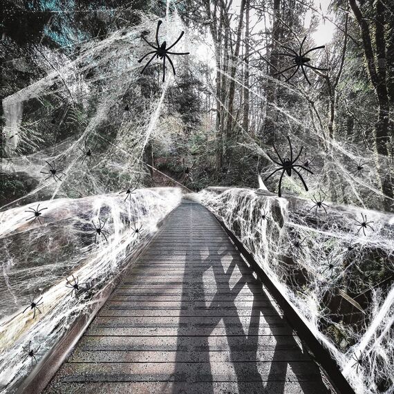 AMLOOPH Spinnennetz Halloween Deko Set, 300g Weiß Dehnbare Spinnweben Halloween Spinnennetz Dekoration Mit 100 Plastik Spinnen für Gruselige Deko Outdoor Garten Innen Horror Party Dekoration