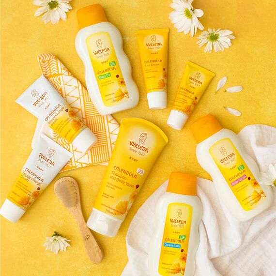 WELEDA Bio Baby Calendula Gesichtscreme - Naturkosmetik Feuchtigkeitscreme mit Mandelöl & Bienenwachs zur Pflege von trockener Haut. Natürliche Gesichtspflege Creme für Babys & Kinder (1x 50ml)