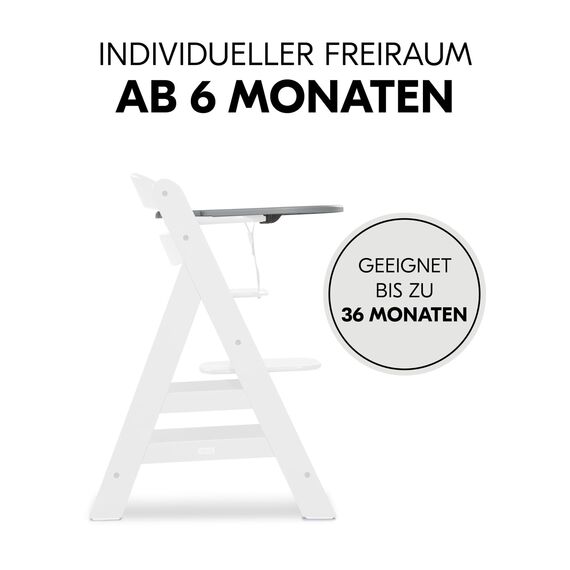 hauck Click Tray, Grey - Klick Essbrett für Alpha+ & Beta+ Holzhochstuhl - Werkzeuglose Montage auf Schutzbügel - Pflegeleichtes & GRS Zertifiziertes Kunststoff - für Baby & Kinder 6-36 Monaten