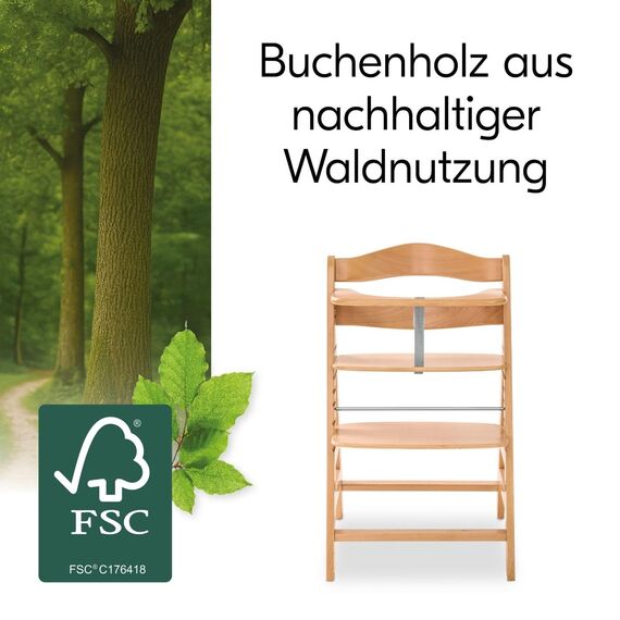 hauck Alpha+, Natur - Mitwachsender Holzhochstuhl aus Buche für Kinder ab 6 Monaten bis 90 kg - Inklusive 5 Punkt Gurt, Schrittgurt, Schutzbügel - Kompatibel mit viel Zubehör