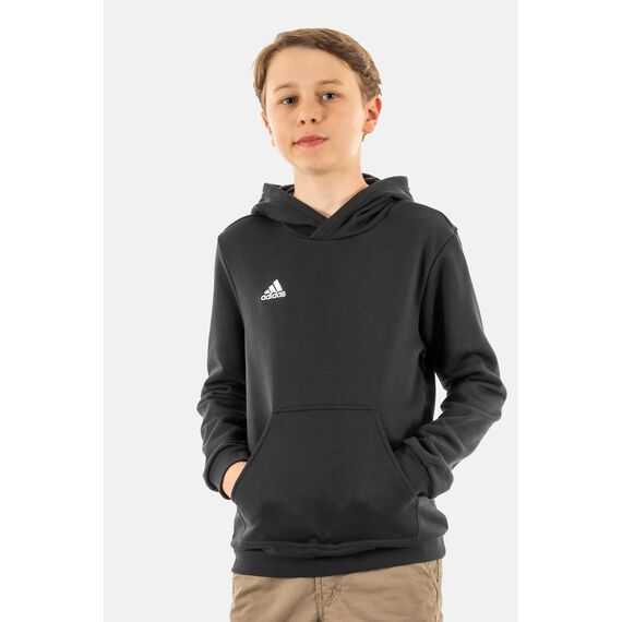 adidas Unisex Kinder Entrada 22 Sweat Hoodie, Black, 152