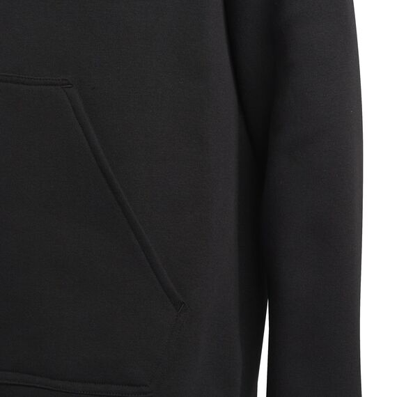 adidas Unisex Kinder Entrada 22 Sweat Hoodie, Black, 152