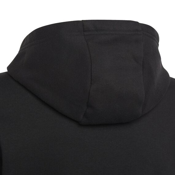adidas Unisex Kinder Entrada 22 Sweat Hoodie, Black, 152