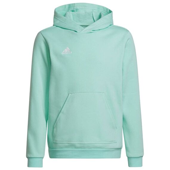 Adidas Unisex Kinder Entrada 22 Sweat Hoodie, Clear Mint, 152