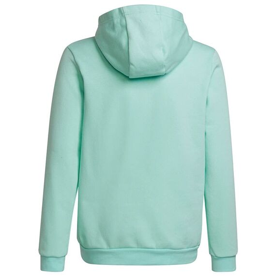 Adidas Unisex Kinder Entrada 22 Sweat Hoodie, Clear Mint, 152