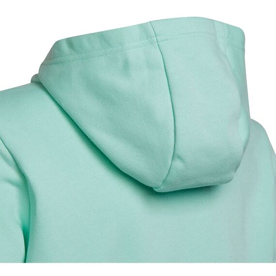 Adidas Unisex Kinder Entrada 22 Sweat Hoodie, Clear Mint, 164