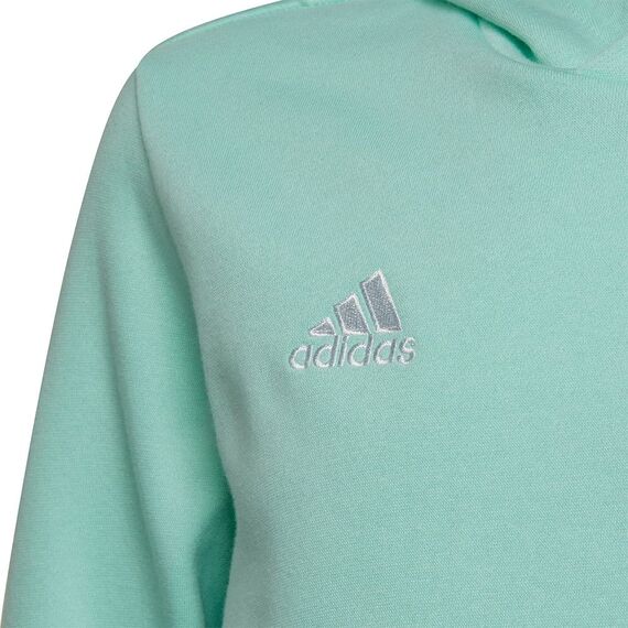 Adidas Unisex Kinder Entrada 22 Sweat Hoodie, Clear Mint, 152