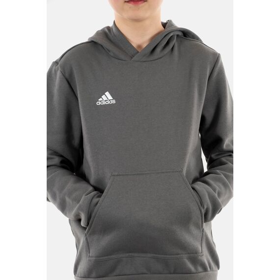 adidas Unisex Kinder Entrada 22 Sweat Hoodie, Team Grey Four, 128
