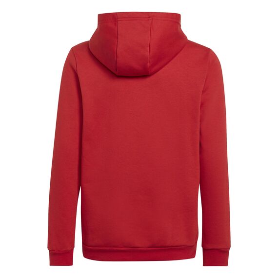 Adidas Unisex Kinder Entrada 22 Sweat Hoodie, Team Power red 2, 140