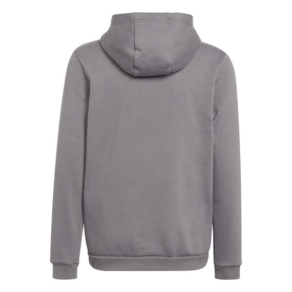 adidas Unisex Kinder Entrada 22 Sweat Hoodie, Team Grey Four, 116
