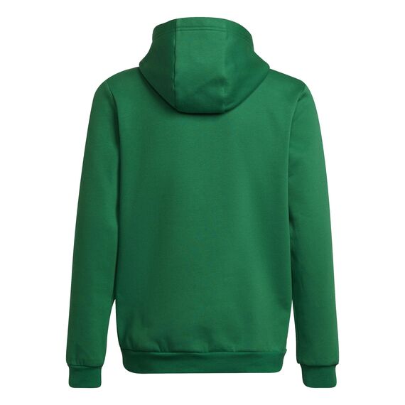 Adidas Unisex Kinder Entrada 22 Sweat Hoodie, Team Green/White, 152