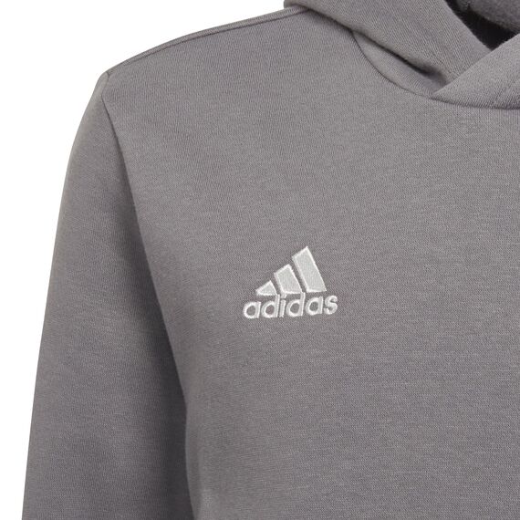 adidas Unisex Kinder Entrada 22 Sweat Hoodie, Team Grey Four, 176
