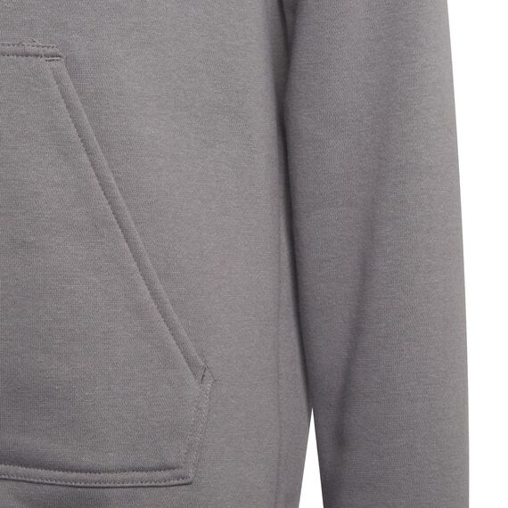 adidas Unisex Kinder Entrada 22 Sweat Hoodie, Team Grey Four, 176