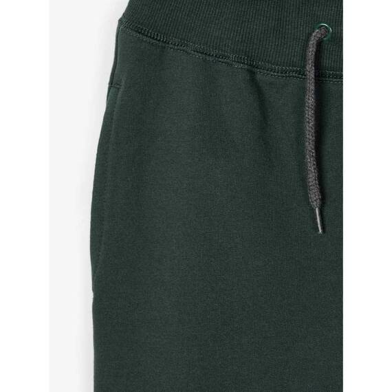 NAME IT Jungen Jogger Nkmsweat Pant Bru Noos, Darkest Spruce, 164