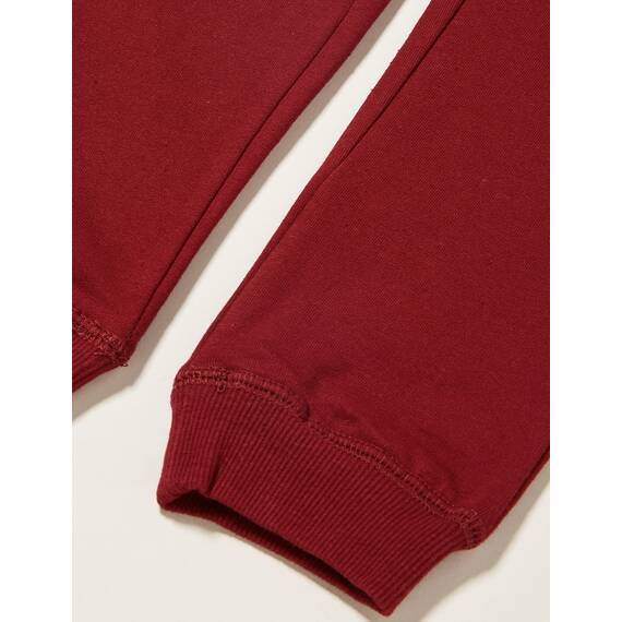 Name IT Jungen Jogger Nkmsweat Pant Bru Noos, Cabernet, 152