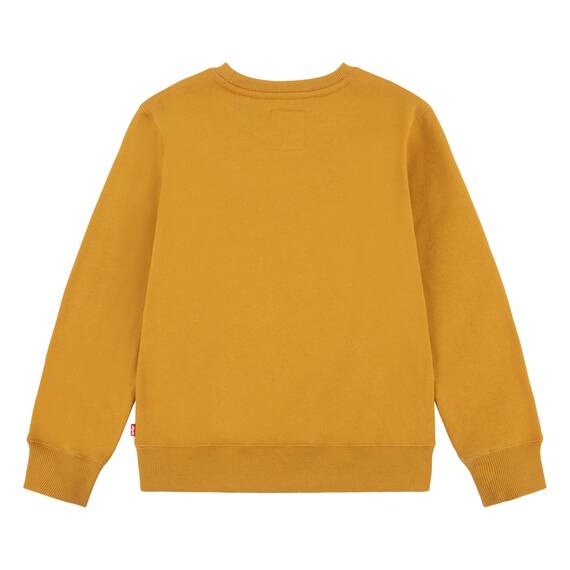 Levi's Kids batwing crewneck Jungen Cathay Spice 10 Jahre