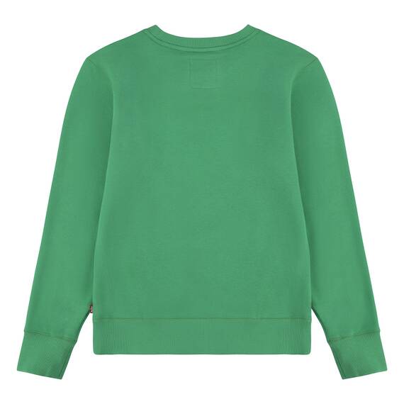 Levi's Kids Lvb batwing crewneck Jungen Green Vif 10 Jahre