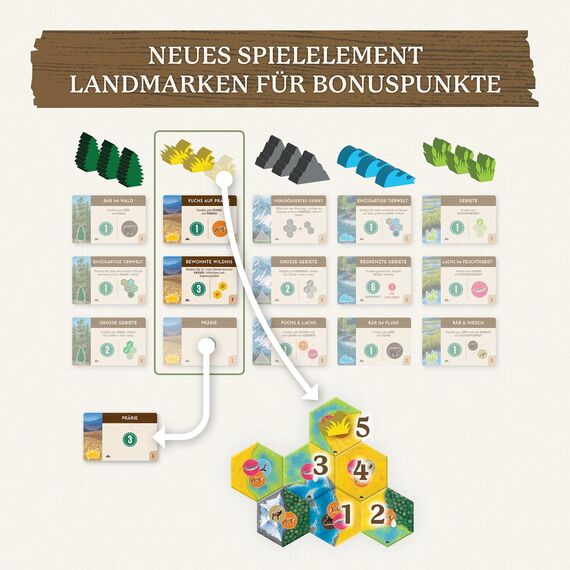 KOSMOS 683955 Cascadia - Landmarks, Erweiterung zum Spiel des Jahres 2022, Ergänzung für 5-6 Personen und Erweiterung in Einer Box, Brettspiel für 2-6 Personen ab 10 Jahren