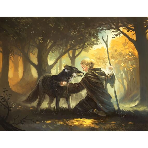 KOSMOS 691936 Die Legenden von Andor - Der Sternenschild, Die erste Erweiterung für den Fantasy-Klassiker Die Legenden von Andor, ab 10 Jahren