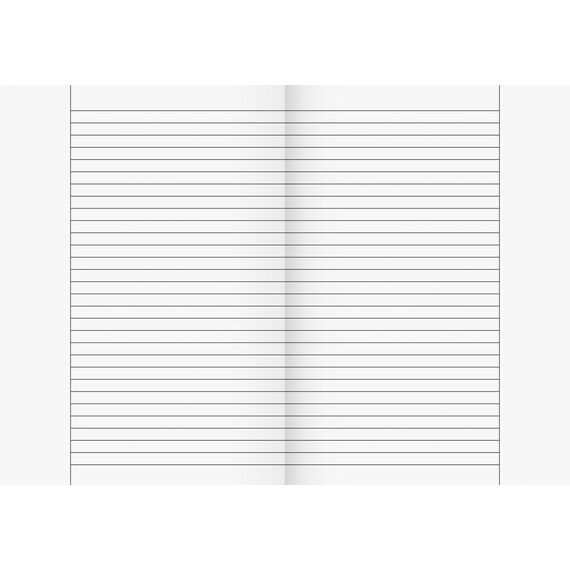 Brunnen 104492511 Schulheft (A4, 16 Blatt, liniert, mit Rand, Lineatur 25) 10 Stück