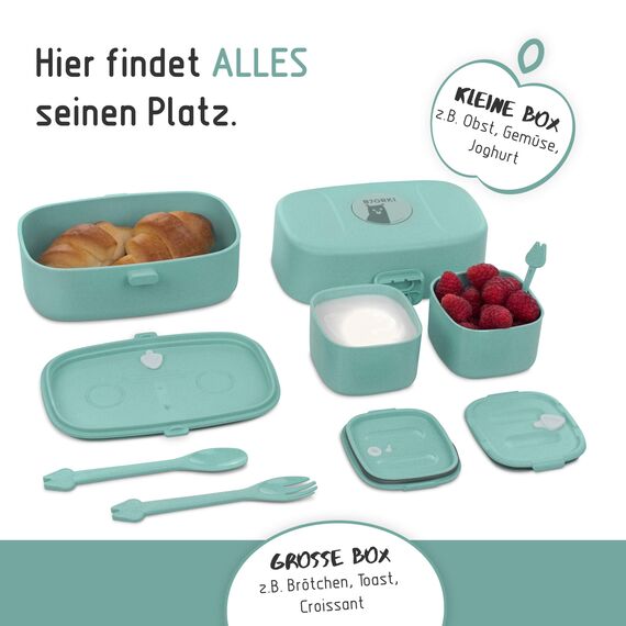 BJORKI® Bento Box für Kinder inkl. BONUS Namensticker - Auslaufsichere Lunchbox mit Fächern - Nachhaltige Brotdose Kinder für Kindergarten & Schule - Die Jausenbox für unterwegs.