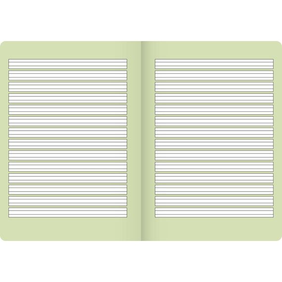 Brunnen 104570202 Premium-Schulheft DIN A5, 16 Blatt, einfaches Heft