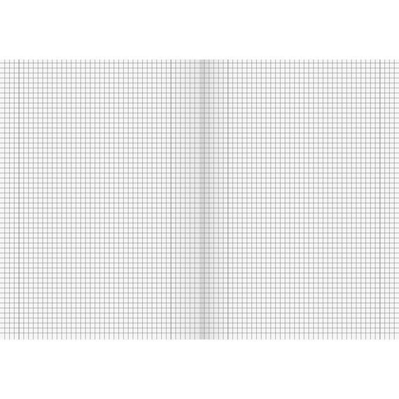 BRUNNEN 104432802 Schulheft DIN A4, 32 Blatt, Doppelheft