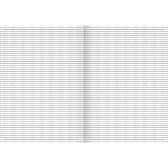 Brunnen 104434202 Schulheft DIN A4, 32 Blatt, Doppelheft