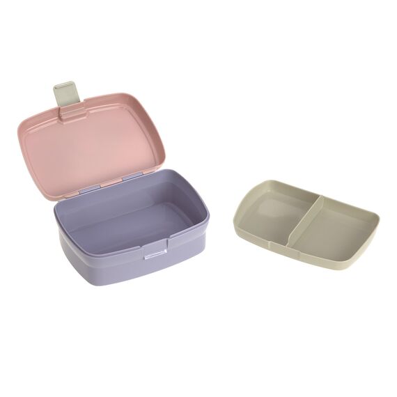 LÄSSIG Kinder Lunchbox Brotdose mit herausnehmbarer Unterteilung, BPA-frei/Rainbow