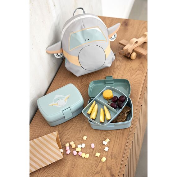 LÄSSIG Kinder Lunchbox Brotdose mit herausnehmbarer Unterteilung, BPA-frei/Lunchbox Tiny Drivers Airplane