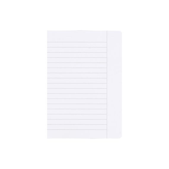 LANDRÉ Schulheft A5, 16 Blatt, Lineatur 9, liniert mit Rand, 10 Stück (Packung mit 2)