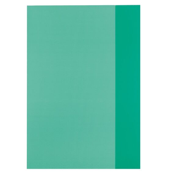 Herlitz 5214051 Hefthülle A4, 25 Stück, grün