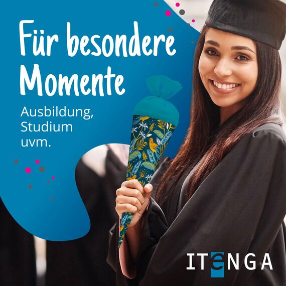 itenga Geschwisterschultüte 35 cm Tiere Pflanzen Muster Geschenkverpackung Schultüte Zuckertüte Filzverschluss Kinder Erwachsene (Vögel)
