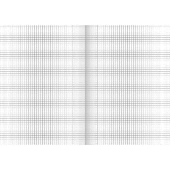 Brunnen 104492802 Schulheft A4 (16 Blatt, 5 mm kariert, mit Rand, Lineatur 28) (Packung mit 3)