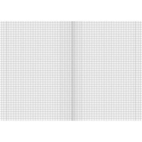 Brunnen 104432802 Schulheft A4 (32 Blatt, 5 mm kariert, mit Rand, Lineatur 28) (Packung mit 2)