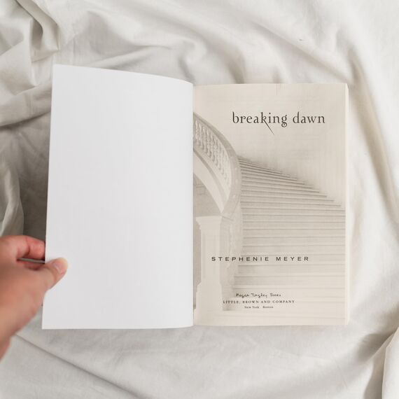 Breaking Dawn (The Twilight Saga, 4)