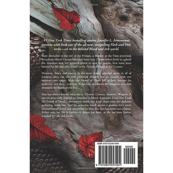 A Shadow in the Ember (Flesh and Fire, Band 1)