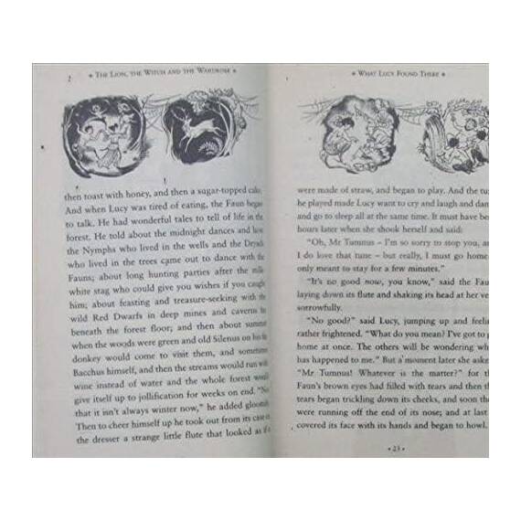 The Lion, the Witch and the Wardrobe: Book 2 in the classic children’s fantasy adventure series (The Chronicles of Narnia, Band 2)