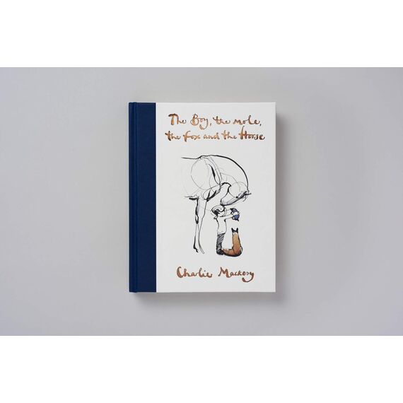 The Boy, The Mole, The Fox and The Horse: Barnes & Noble Book of the Year 2019