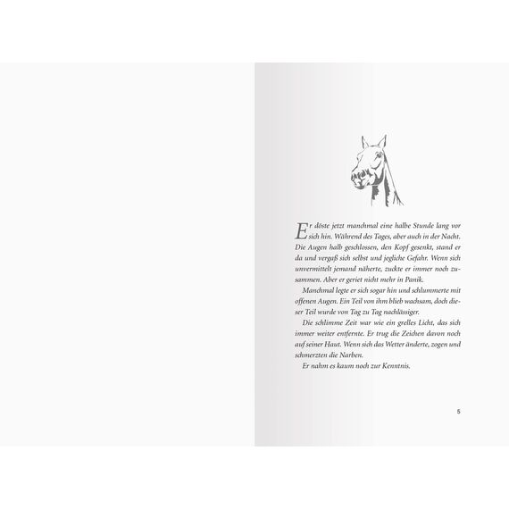 Pferdeflüsterer-Academy, Band 9: Cyprians Rückkehr (Pferdebuch ab 10 Jahre von Bestseller-Autorin Gina Mayer) (Pferdeflüsterer-Academy, 9)