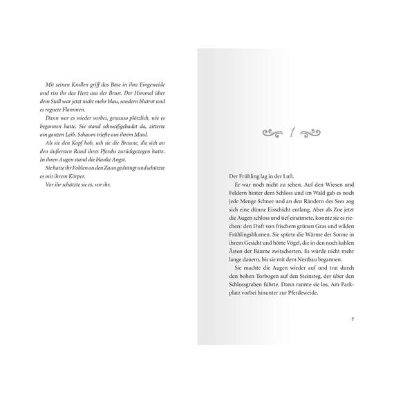 Pferdeflüsterer-Academy, Band 3: Eine gefährliche Schönheit (Pferdebuch ab 10 Jahre von Bestseller-Autorin Gina Mayer) (Pferdeflüsterer-Academy, 3)