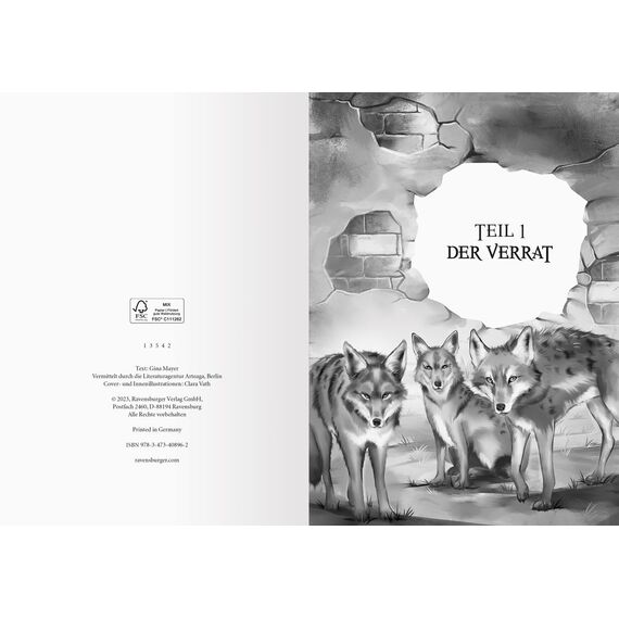 Stadt der bösen Tiere, Band 1: Die Burg (Tier-Fantasy ab 10 Jahre von Bestseller-Autorin Gina Mayer) (Stadt der bösen Tiere, 1)