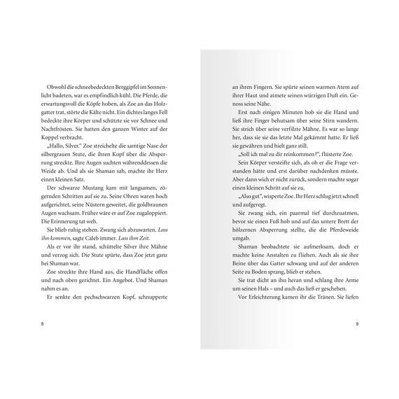 Pferdeflüsterer-Academy, Band 3: Eine gefährliche Schönheit (Pferdebuch ab 10 Jahre von Bestseller-Autorin Gina Mayer) (Pferdeflüsterer-Academy, 3)