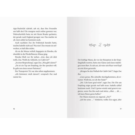 Pferdeflüsterer-Academy, Band 6: Calypsos Fohlen (Pferdebuch ab 10 Jahre von Bestseller-Autorin Gina Mayer) (Pferdeflüsterer-Academy, 6)