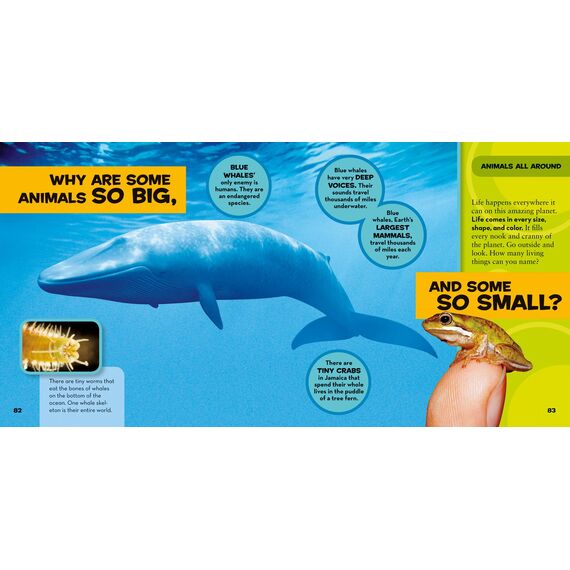 National Geographic Little Kids First Big Book of Why (National Geographic Little Kids First Big Books, Band 1)